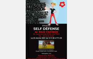 Stage de Self Défense dirigé par Alexandre RUCEL 6ème Dan de judo le 23 JANVIER 2021