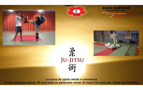 COURS JUJITSU Le cours de jujistu adulte a commencé. Il reste quelques places. Si vous avez un partenaire venez. Si vous n’en avez pas, venez quand même. 