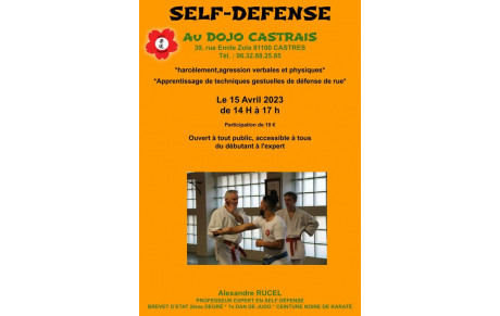 Stage de self defense de rue dirigé par Alexandre RUCEL le samedi 15 Avril 2023 (photos associées).