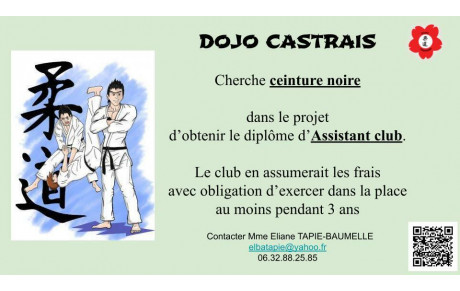 Cherche Ceinture noire