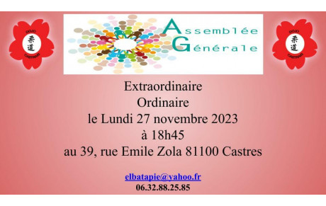 Assemblée Générale (pouvoir)